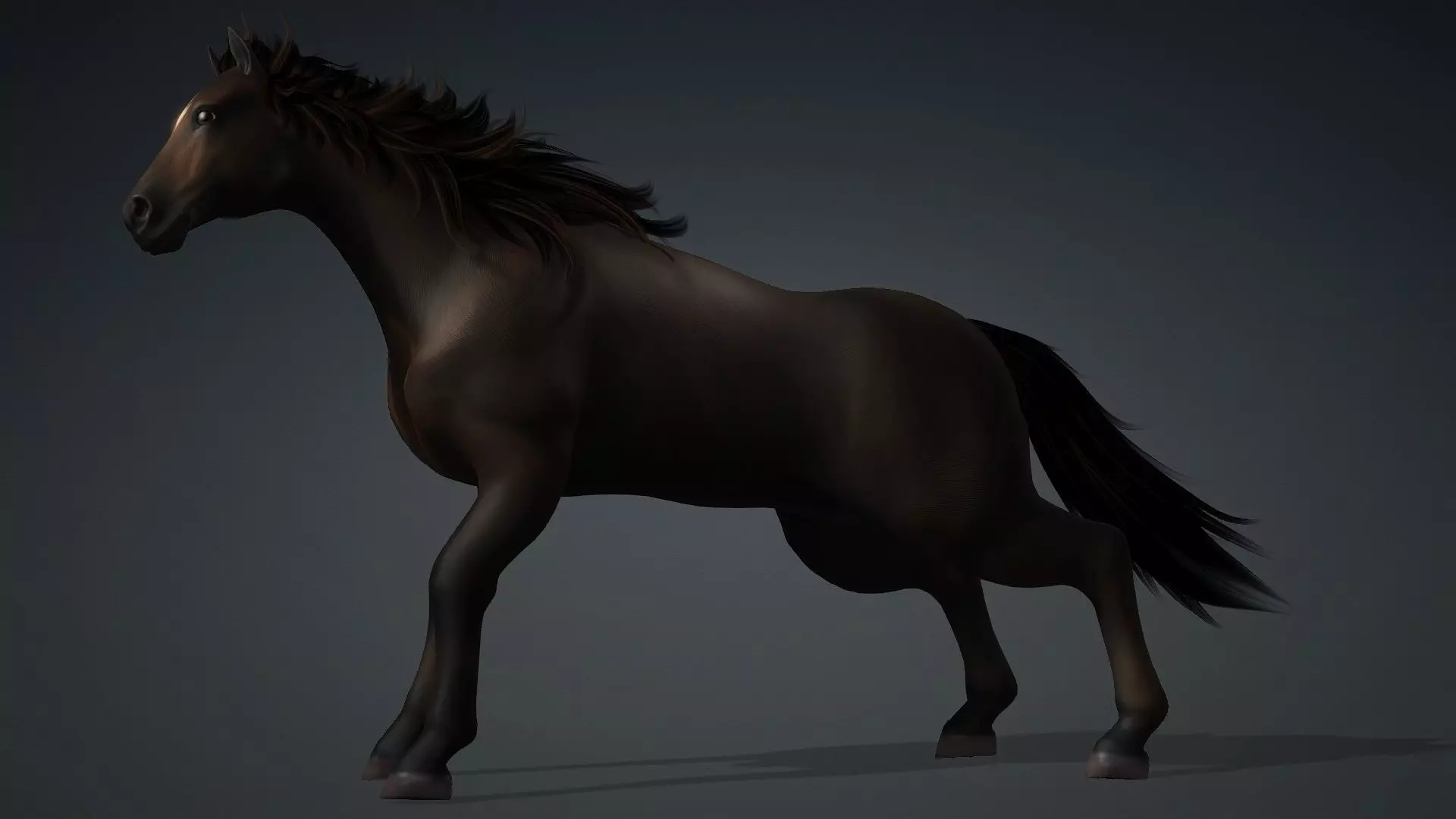 Horse-G2 3D model_4