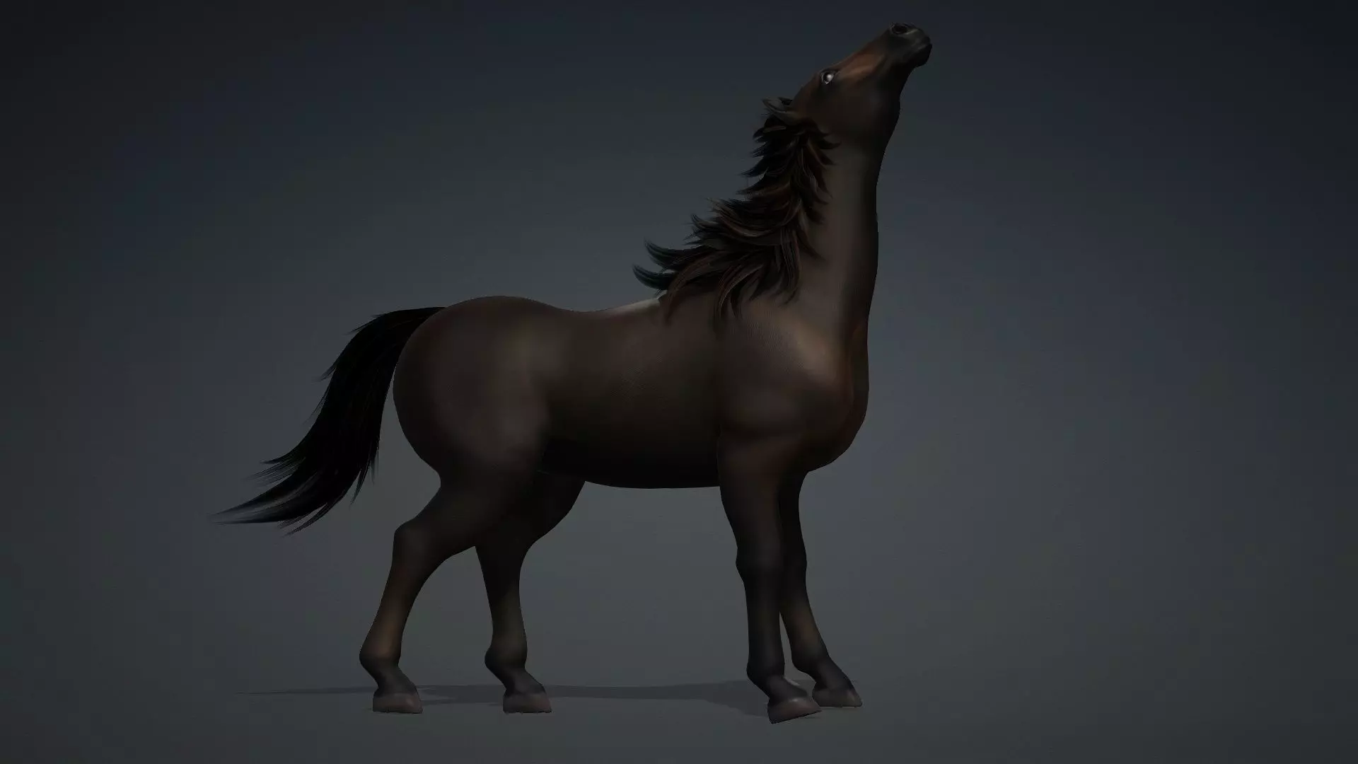 Horse-G2 3D model_6