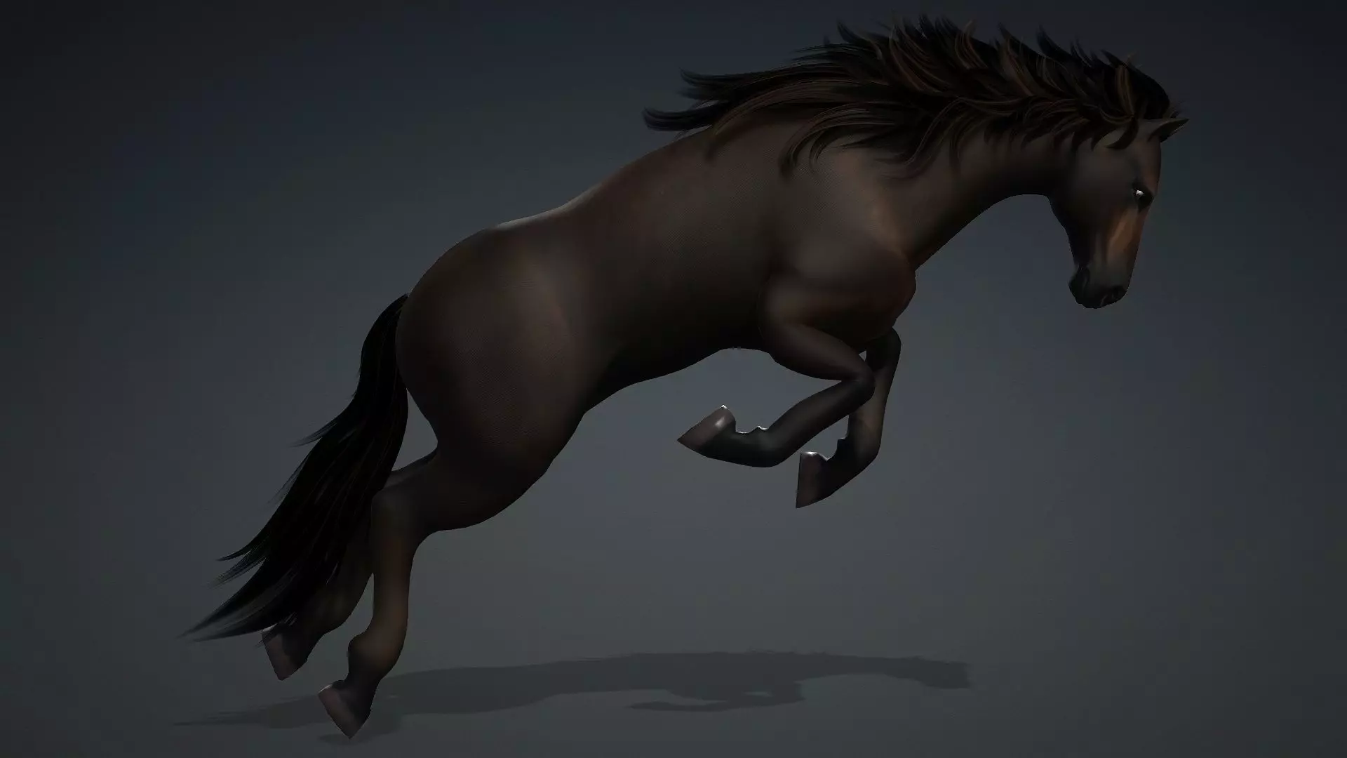 Horse-G2 3D model_15