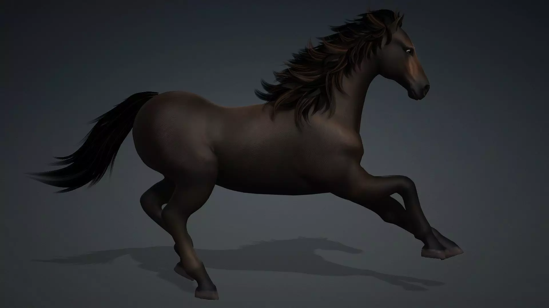 Horse-G2 3D model_14