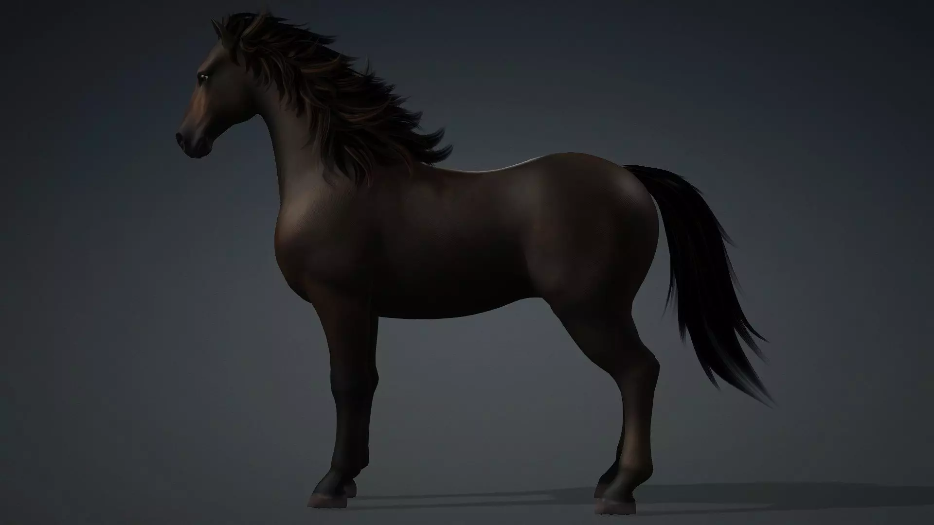 Horse-G2 3D model_3