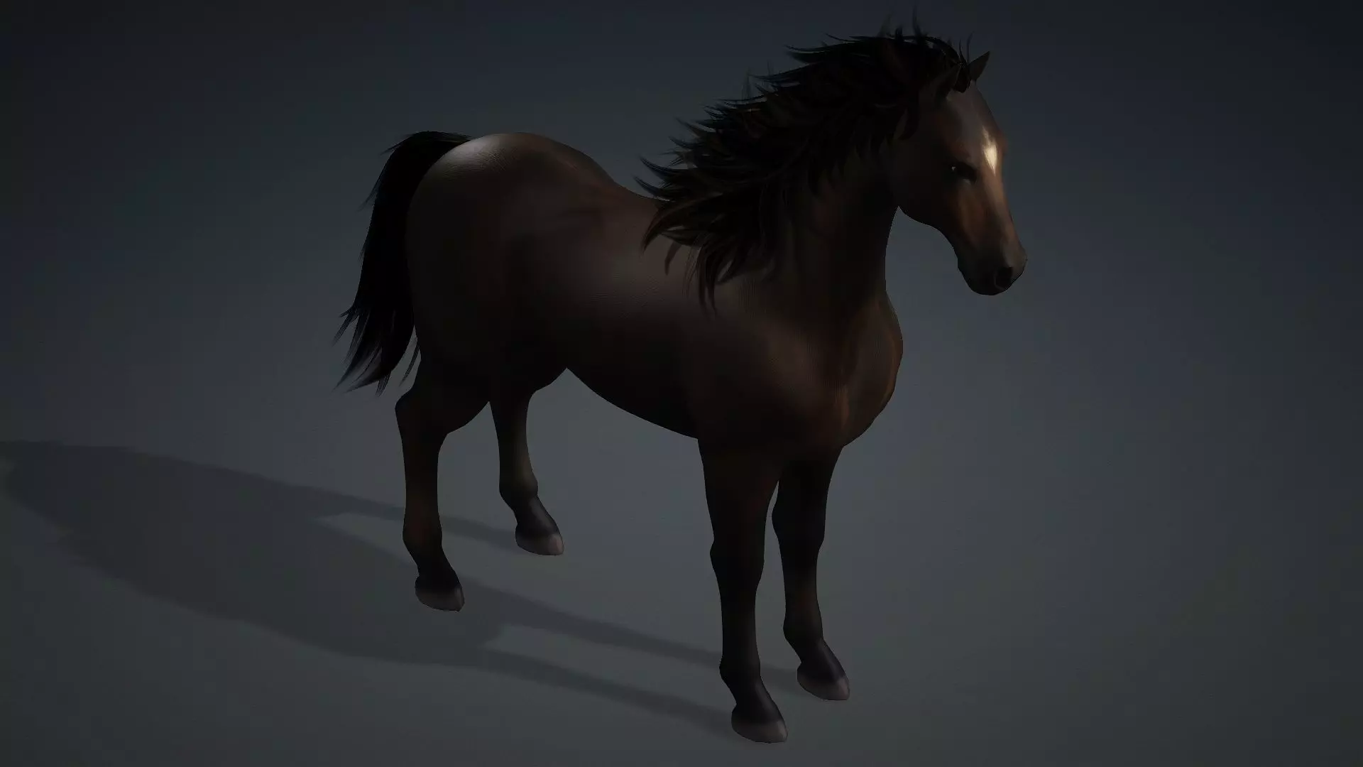 Horse-G2 3D model_11