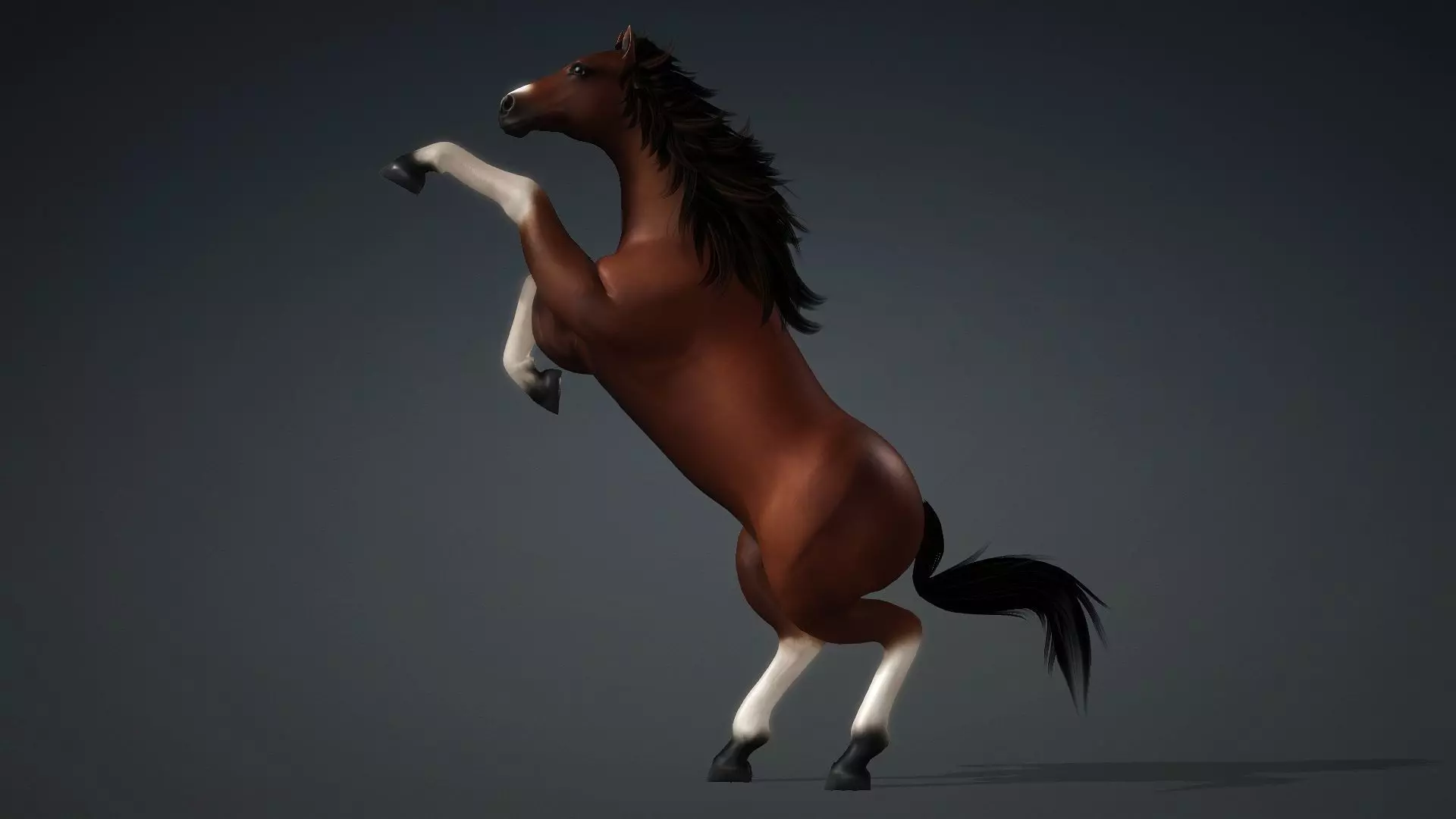 Horse-G3 3D model_5