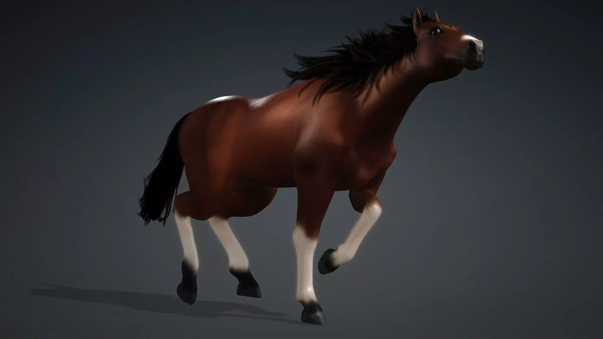 Horse-G3 3D model_8