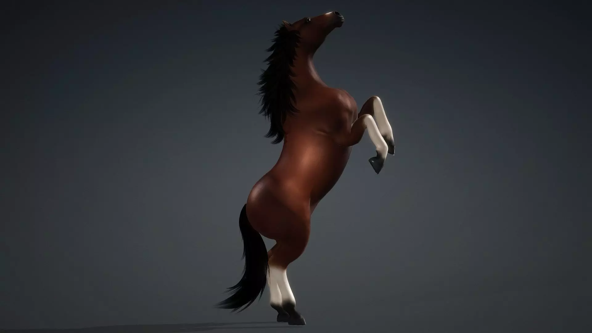 Horse-G3 3D model_6