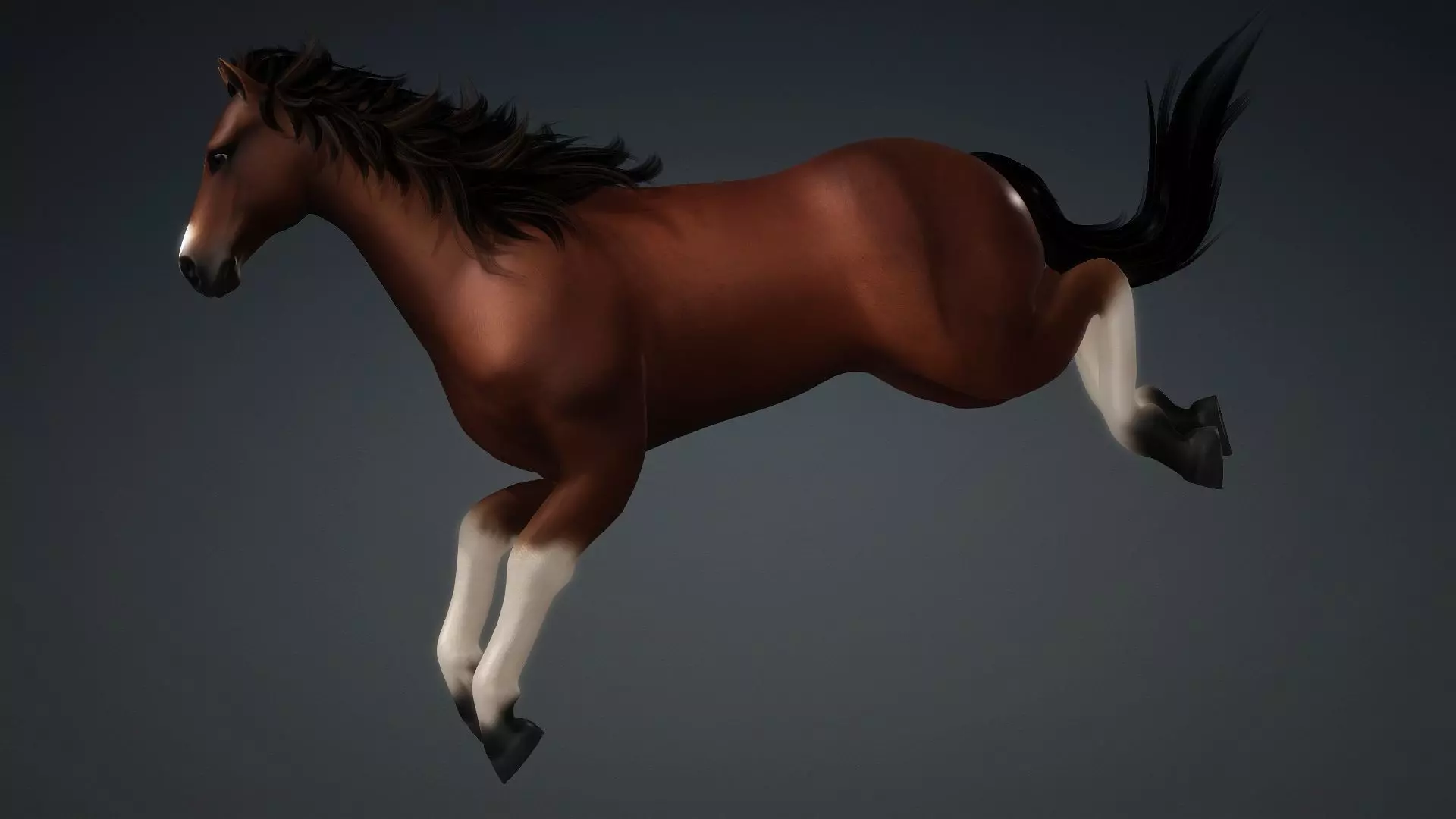 Horse-G3 3D model_17
