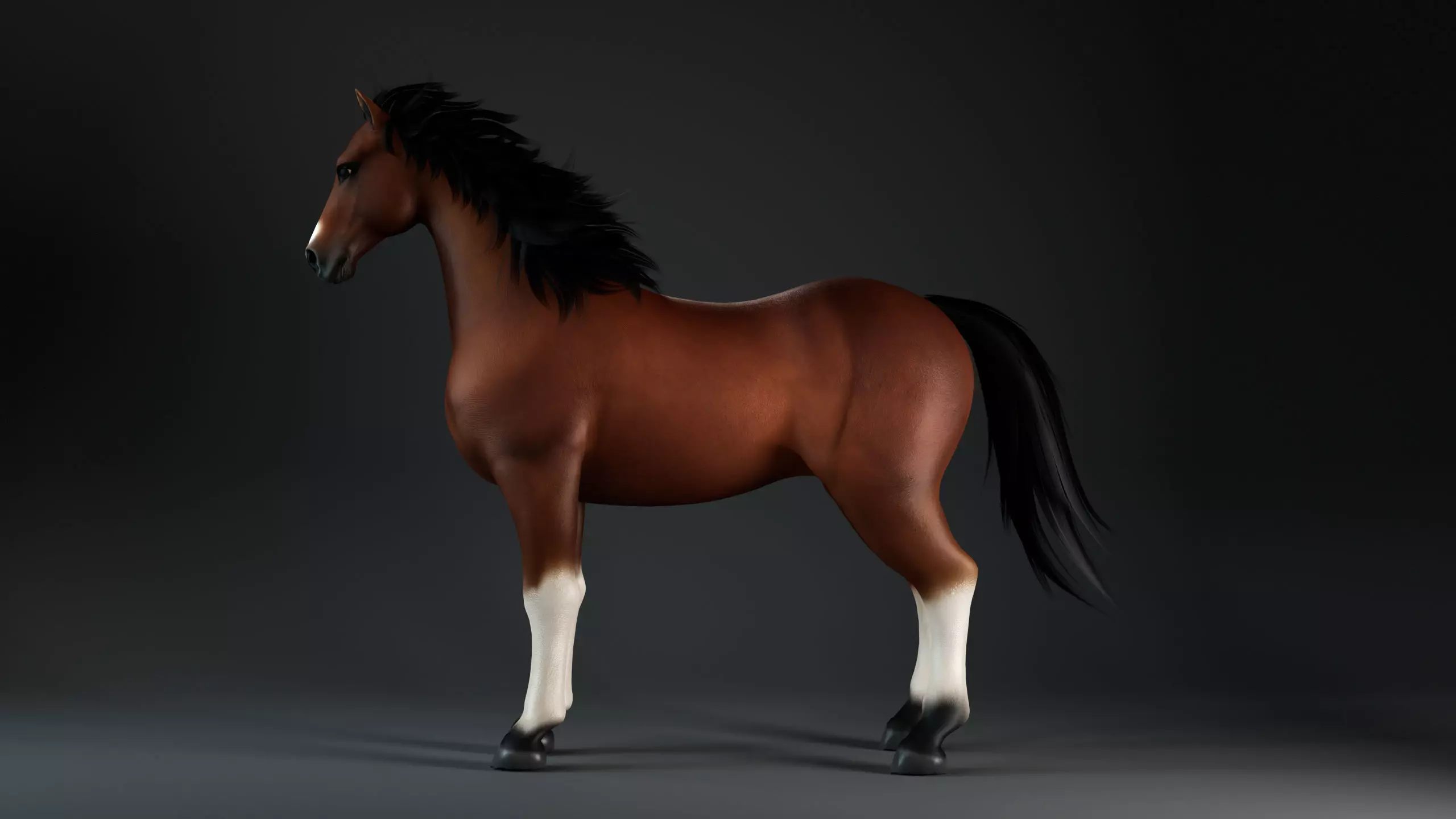 Horse-G3 3D model_2