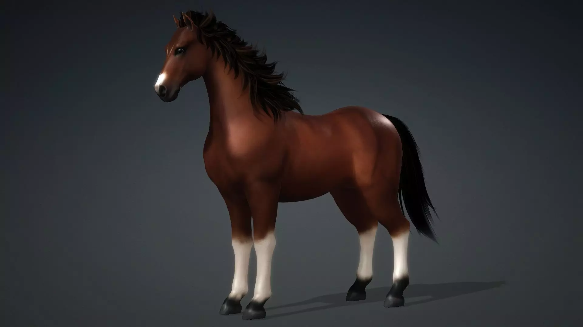 Horse-G3 3D model_10