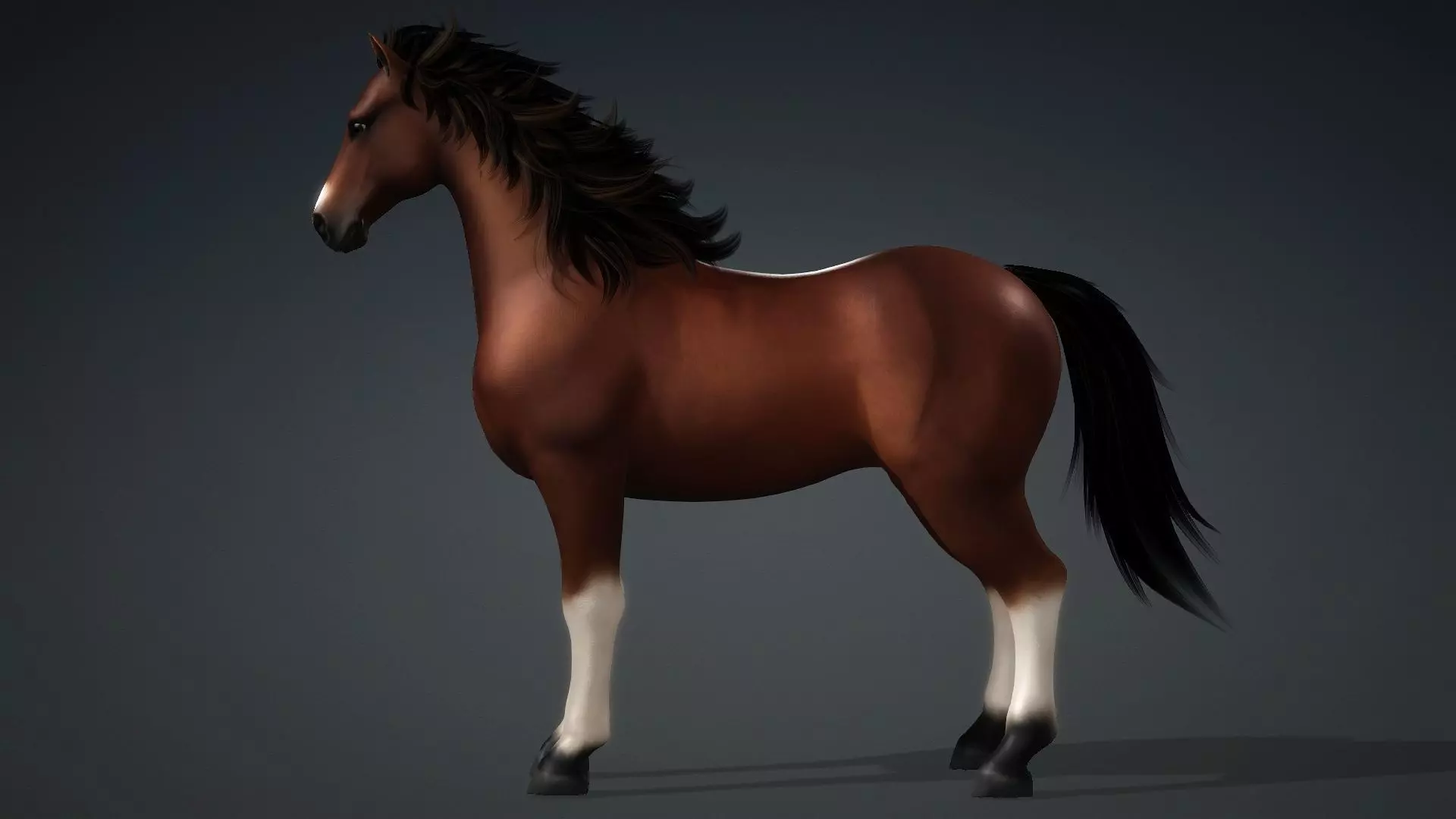 Horse-G3 3D model_3