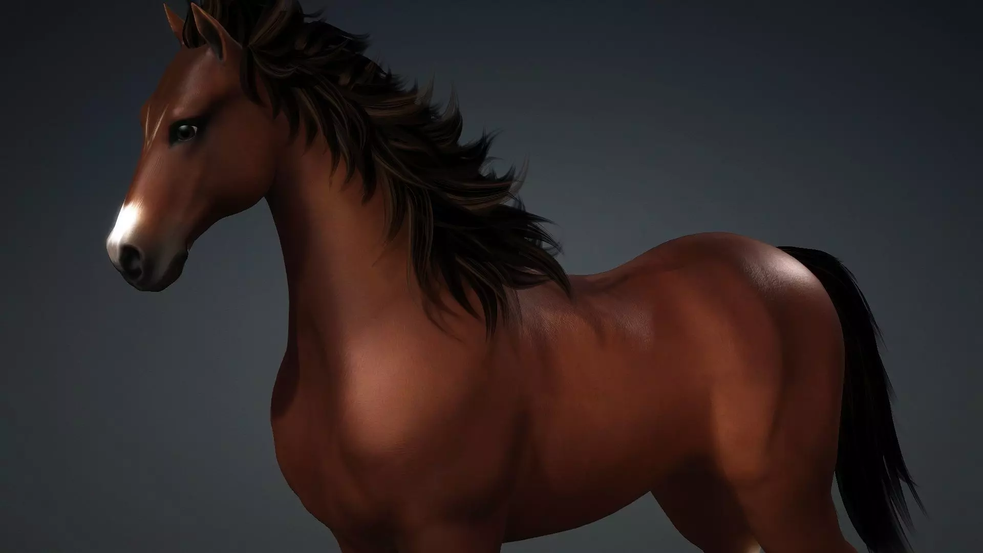 Horse-G3 3D model_12