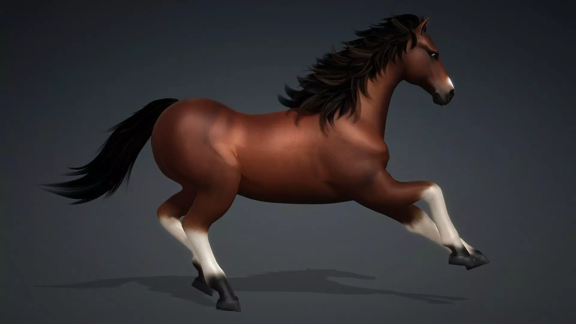 Horse-G3 3D model_15