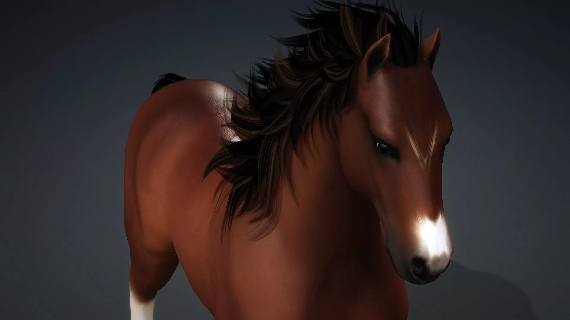 Horse-G3 3D model_14
