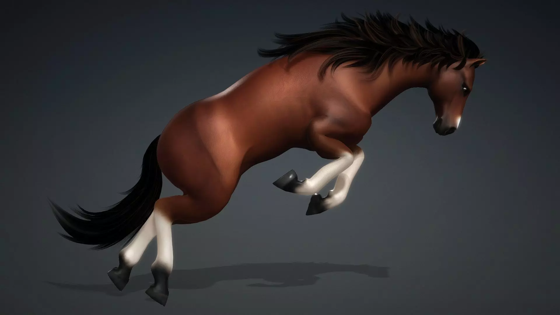 Horse-G3 3D model_16
