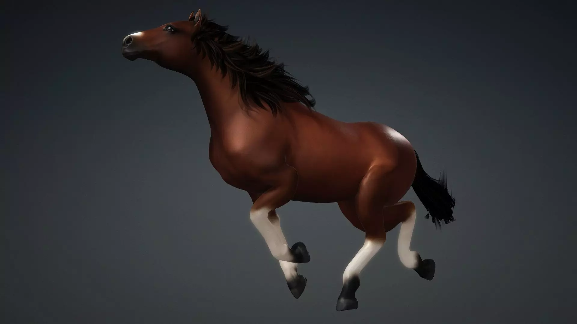 Horse-G3 3D model_7