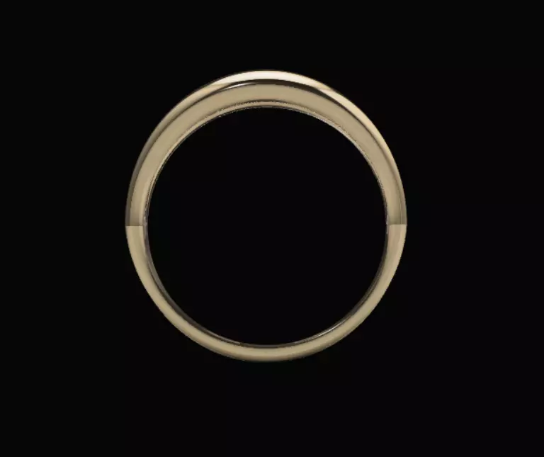 Golring16 3D print model_3