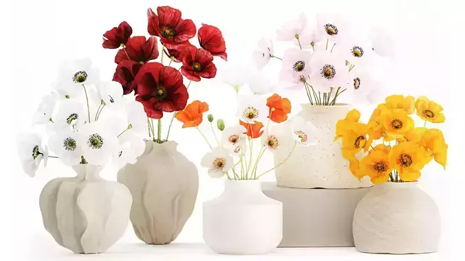 Collection realistic wildflower bouquets poppy set vase decor