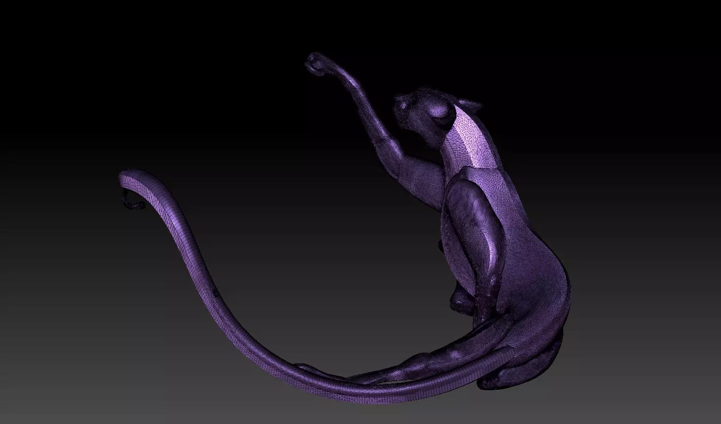 Running Cheetah 3D print model_14