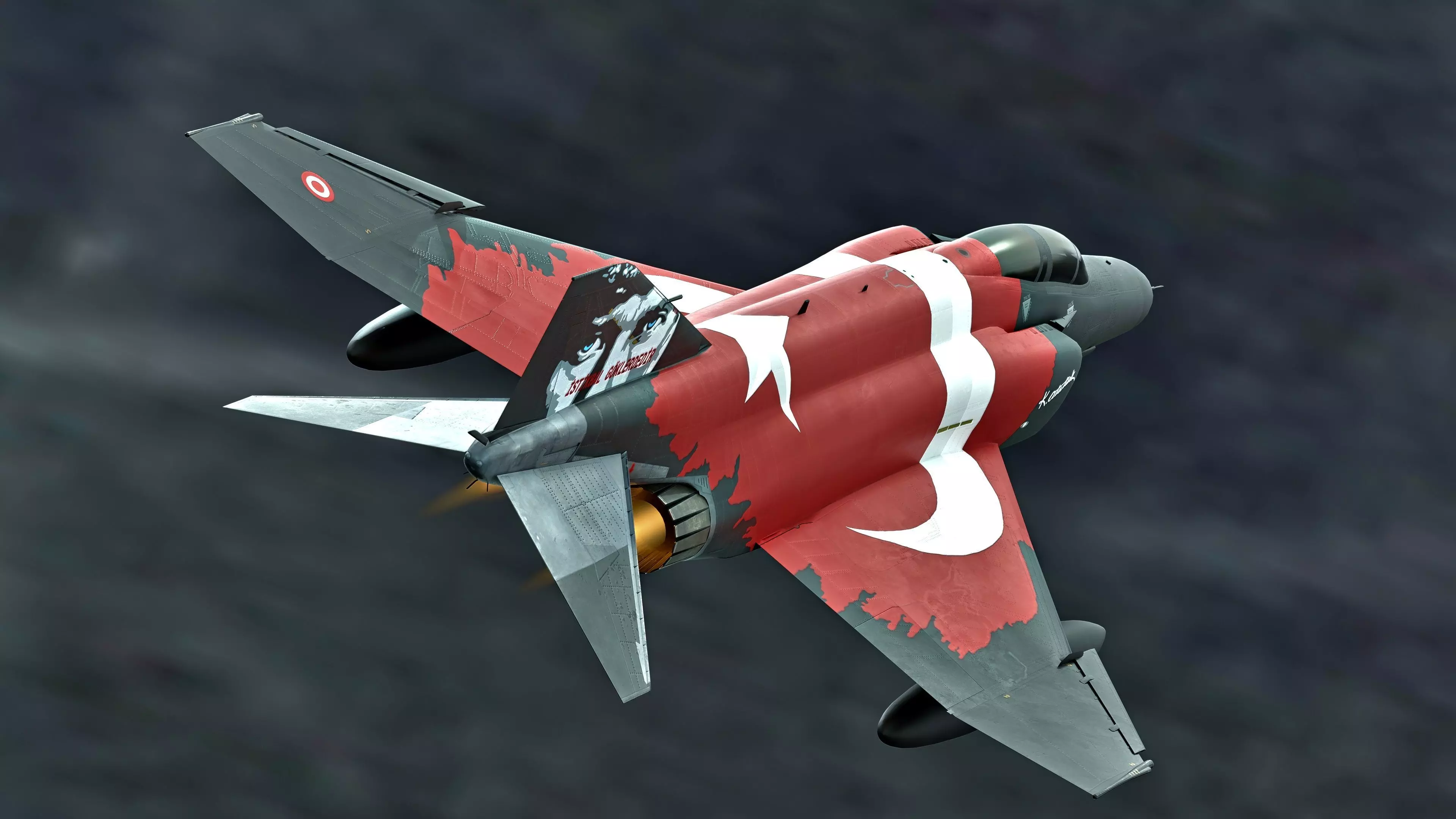 F4 Phantom 2 Turkey-With Cockpit-Fully Rigged-High Resolution Low-poly 3D model_2