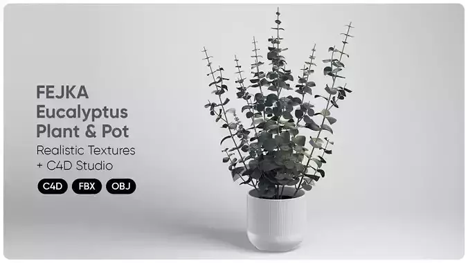 Realistic Eucalyptus Plant And Pot 3D Model 3D model