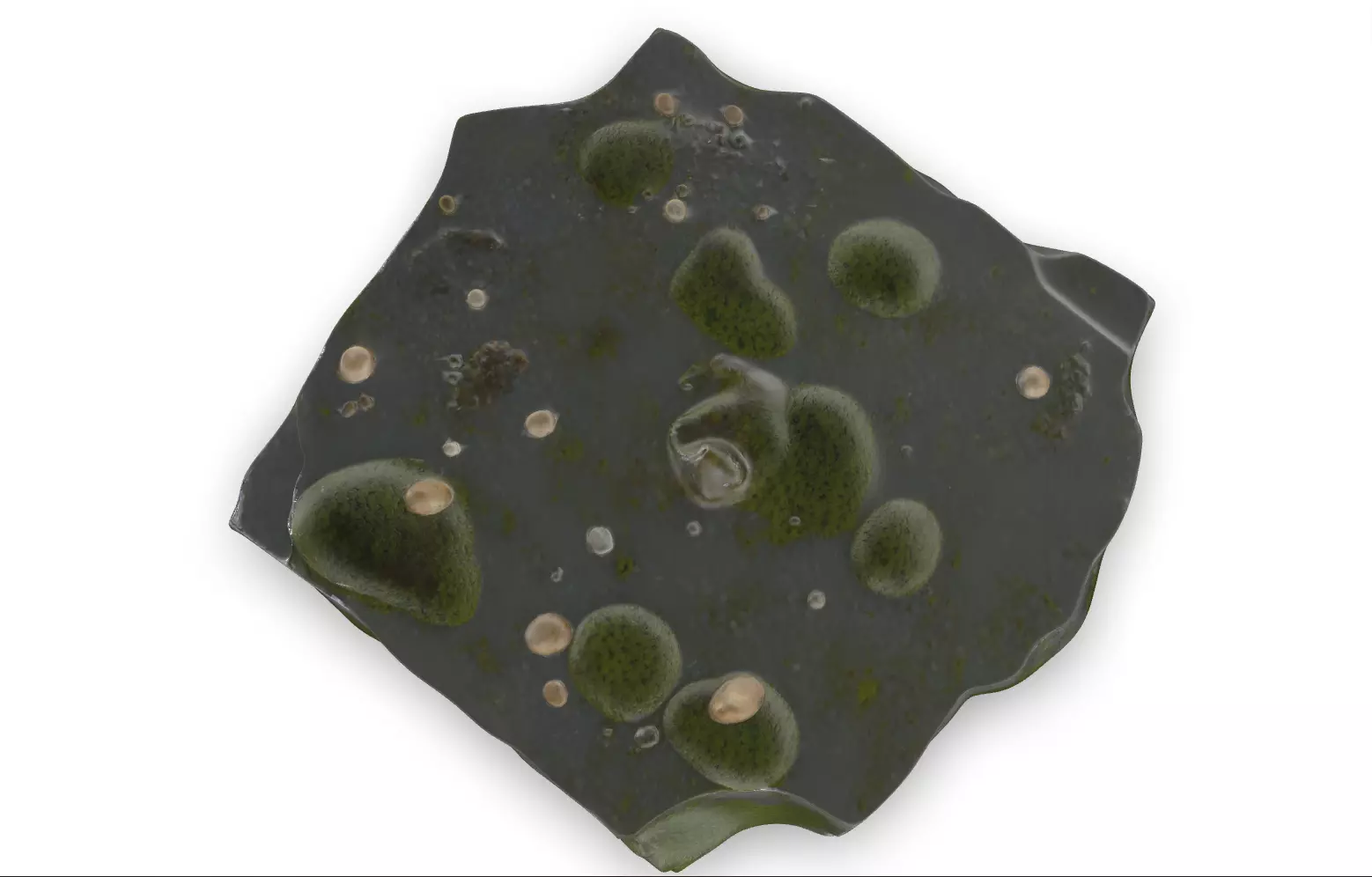 Mossy Rock Pack Vol 4 6 Realistic Forest Rocks and Stones Low-poly 3D model_22