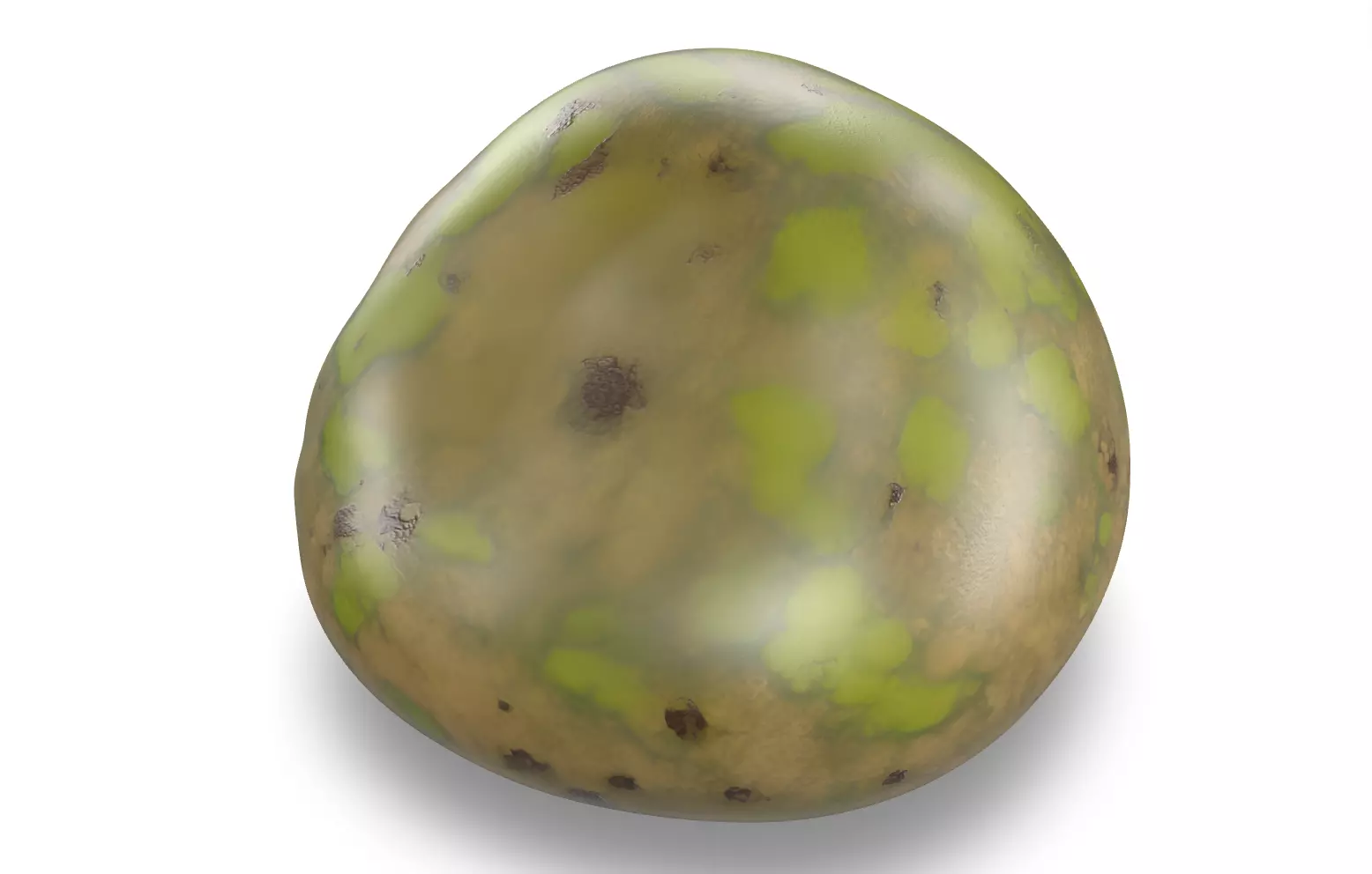 Mossy Rock Pack Vol 4 6 Realistic Forest Rocks and Stones Low-poly 3D model_16