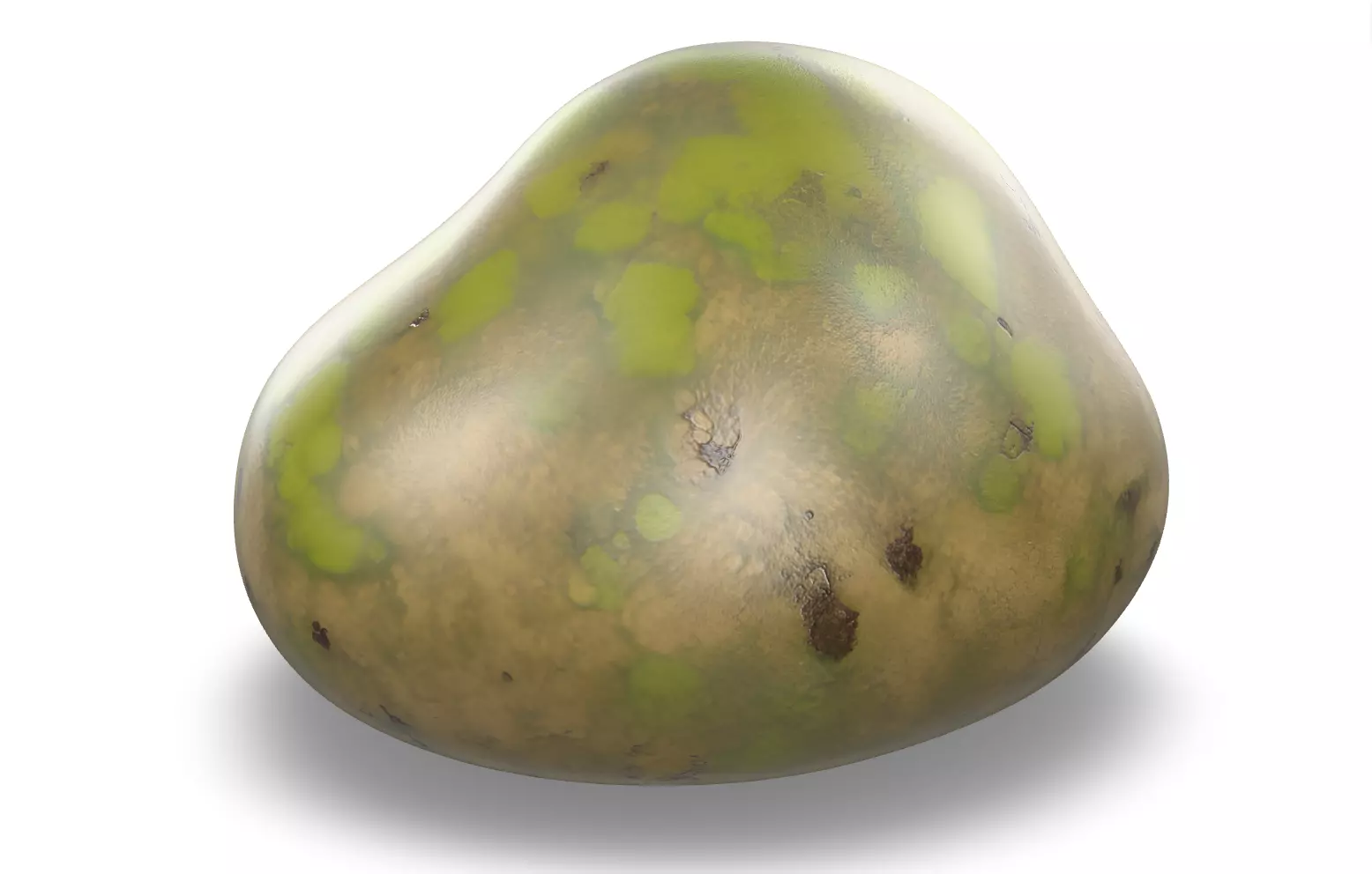 Mossy Rock Pack Vol 4 6 Realistic Forest Rocks and Stones Low-poly 3D model_17