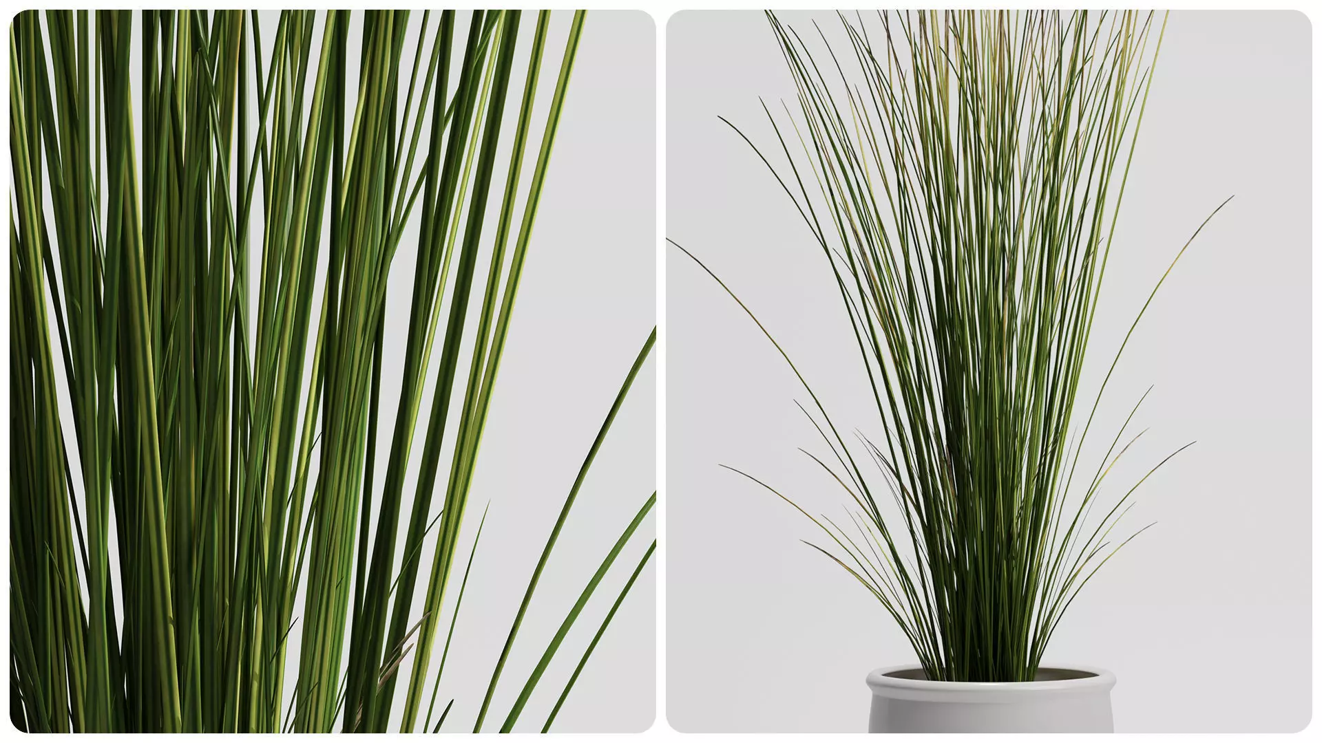  FEJKA Tall Grass Plant with Pot 3D Model 3D model_2