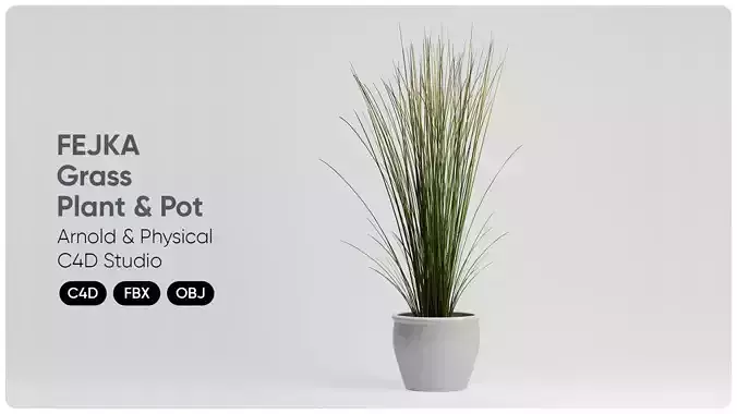  FEJKA Tall Grass Plant with Pot 3D Model