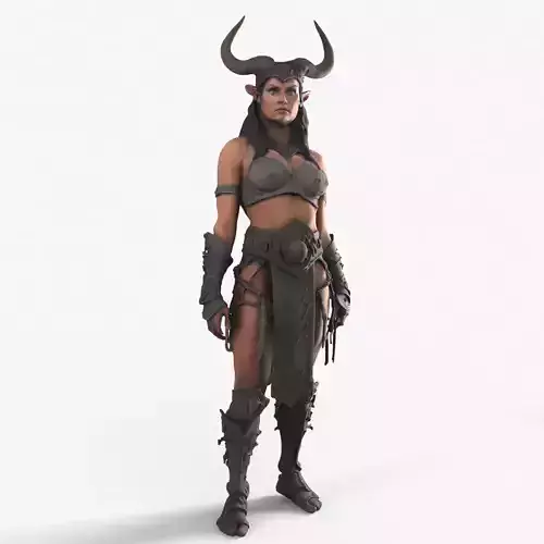 Armored Warrior Woman