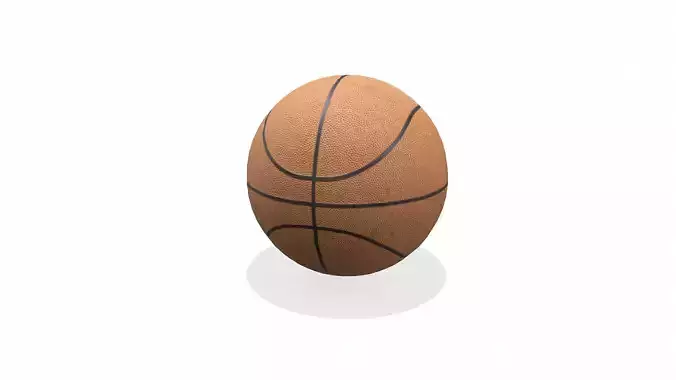 Generic Basketball