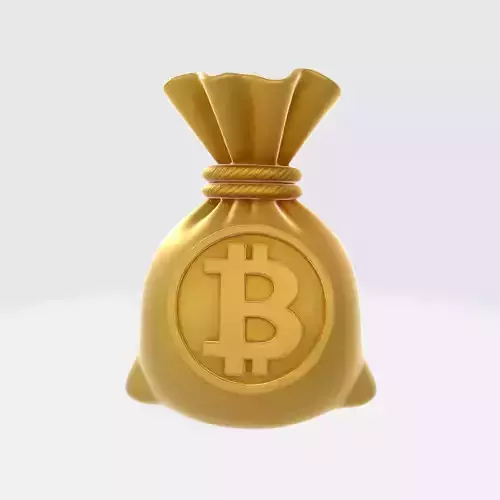 Bitcoin HODL Money Bag 2