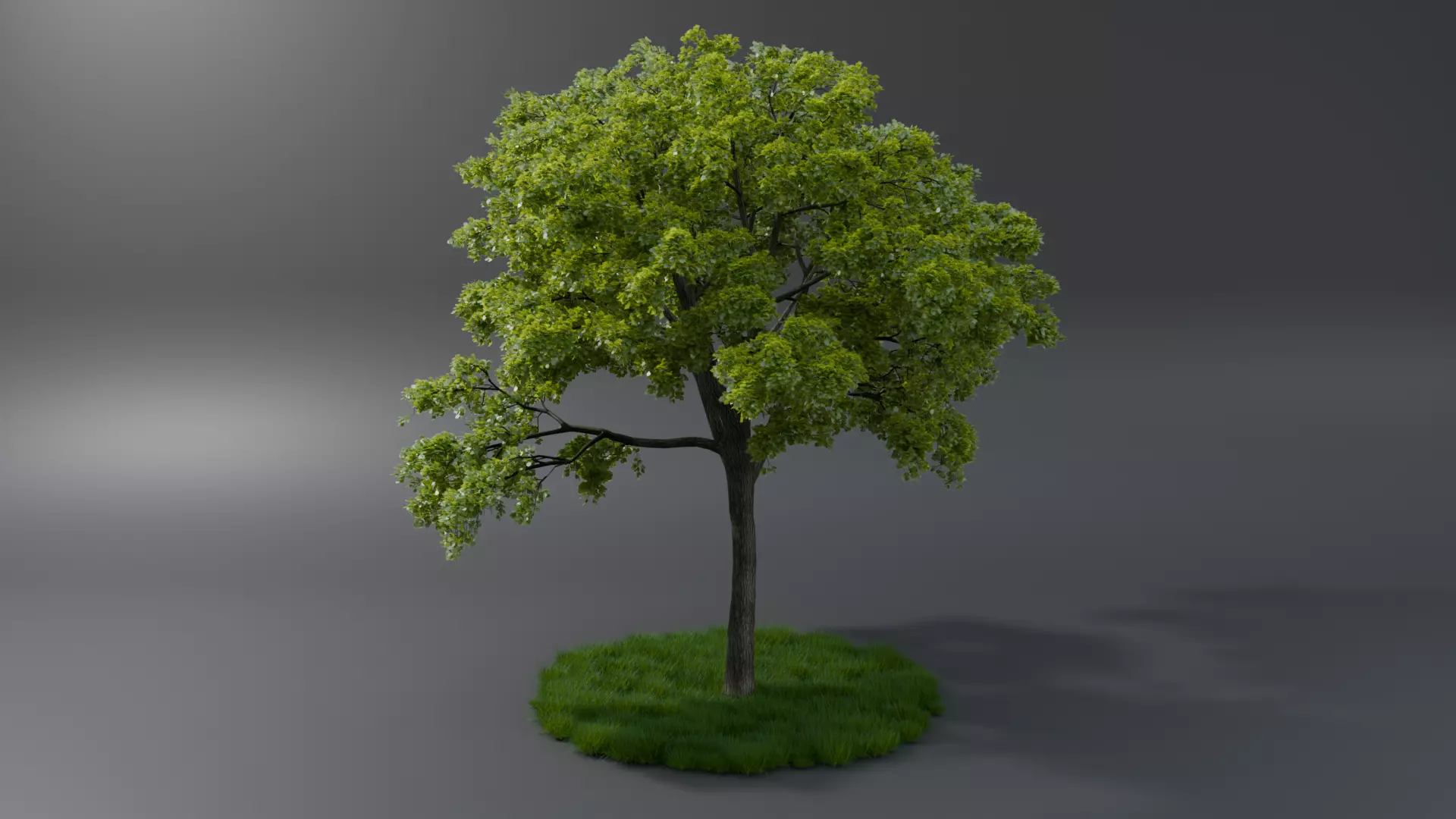 Realistic style of grass and trees 3D model_0