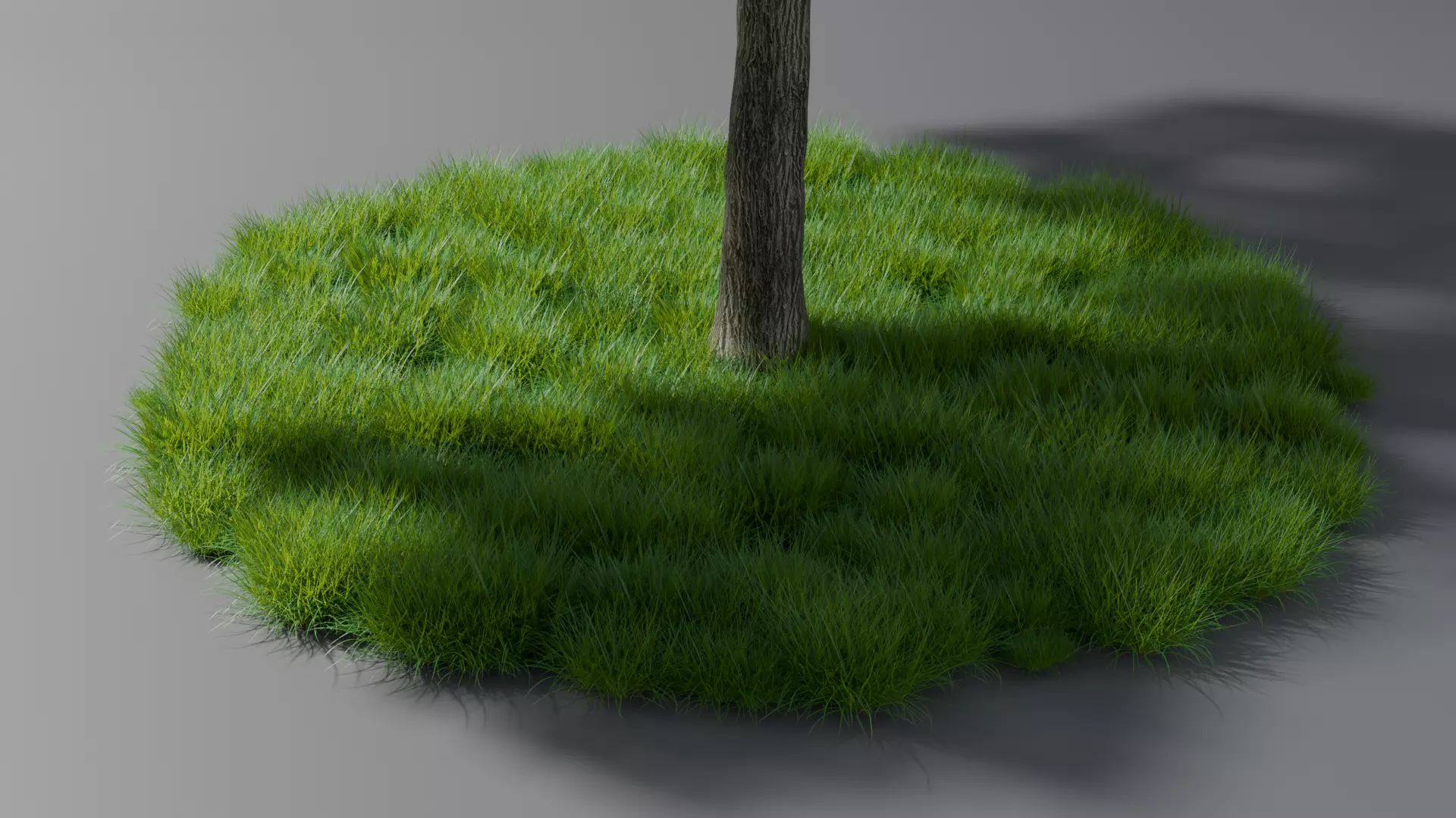 Realistic style of grass and trees 3D model_2