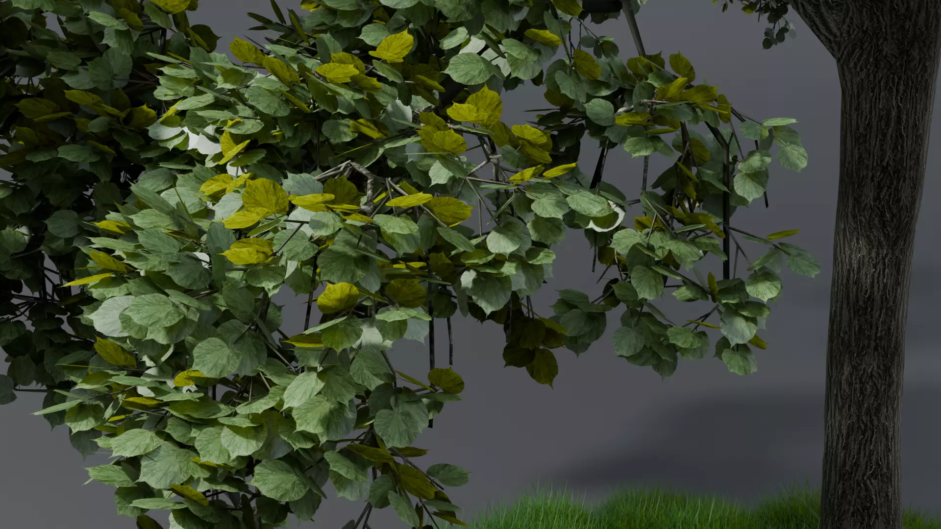 Realistic style of grass and trees 3D model_1