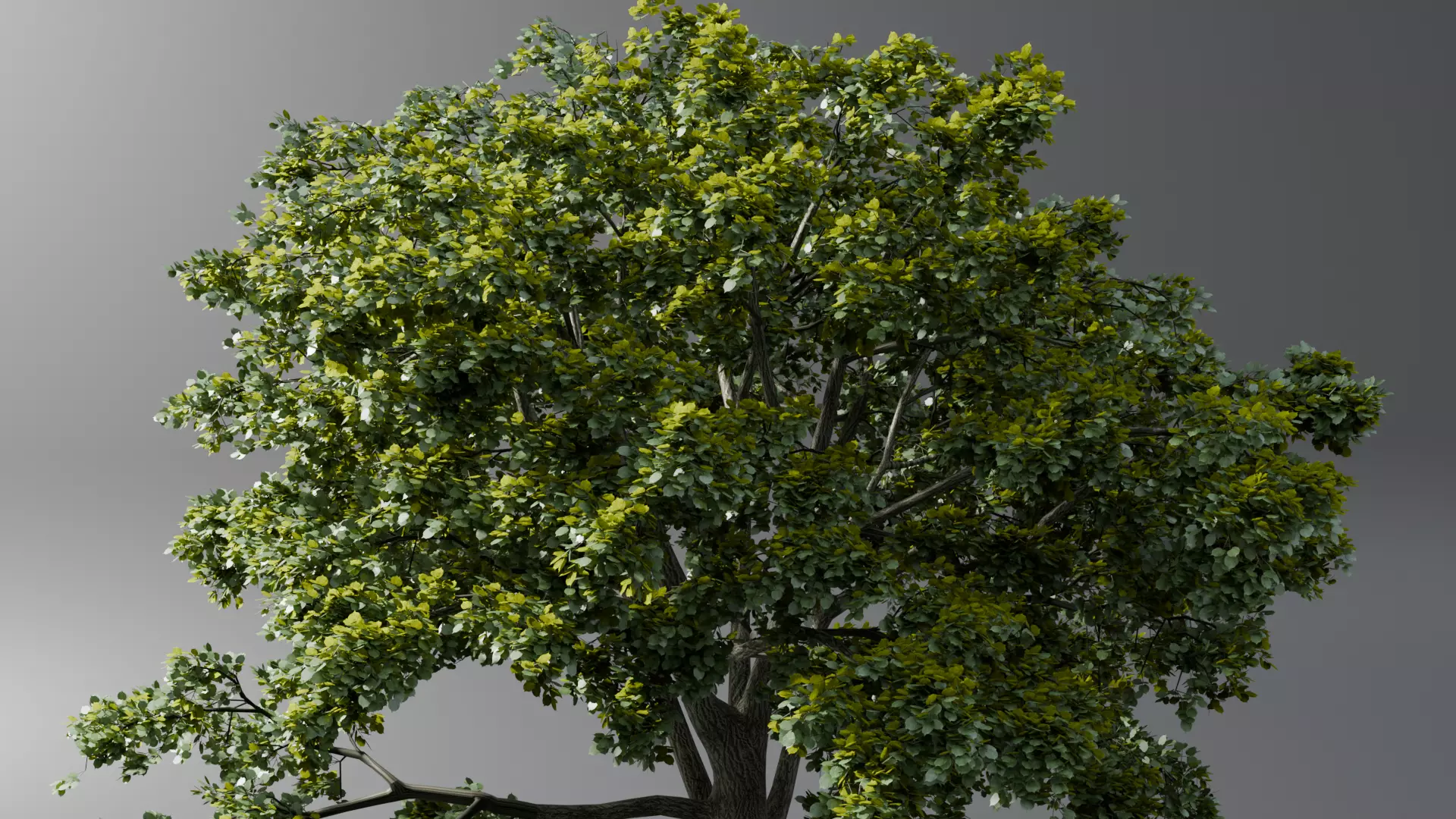 Realistic style of grass and trees 3D model_3