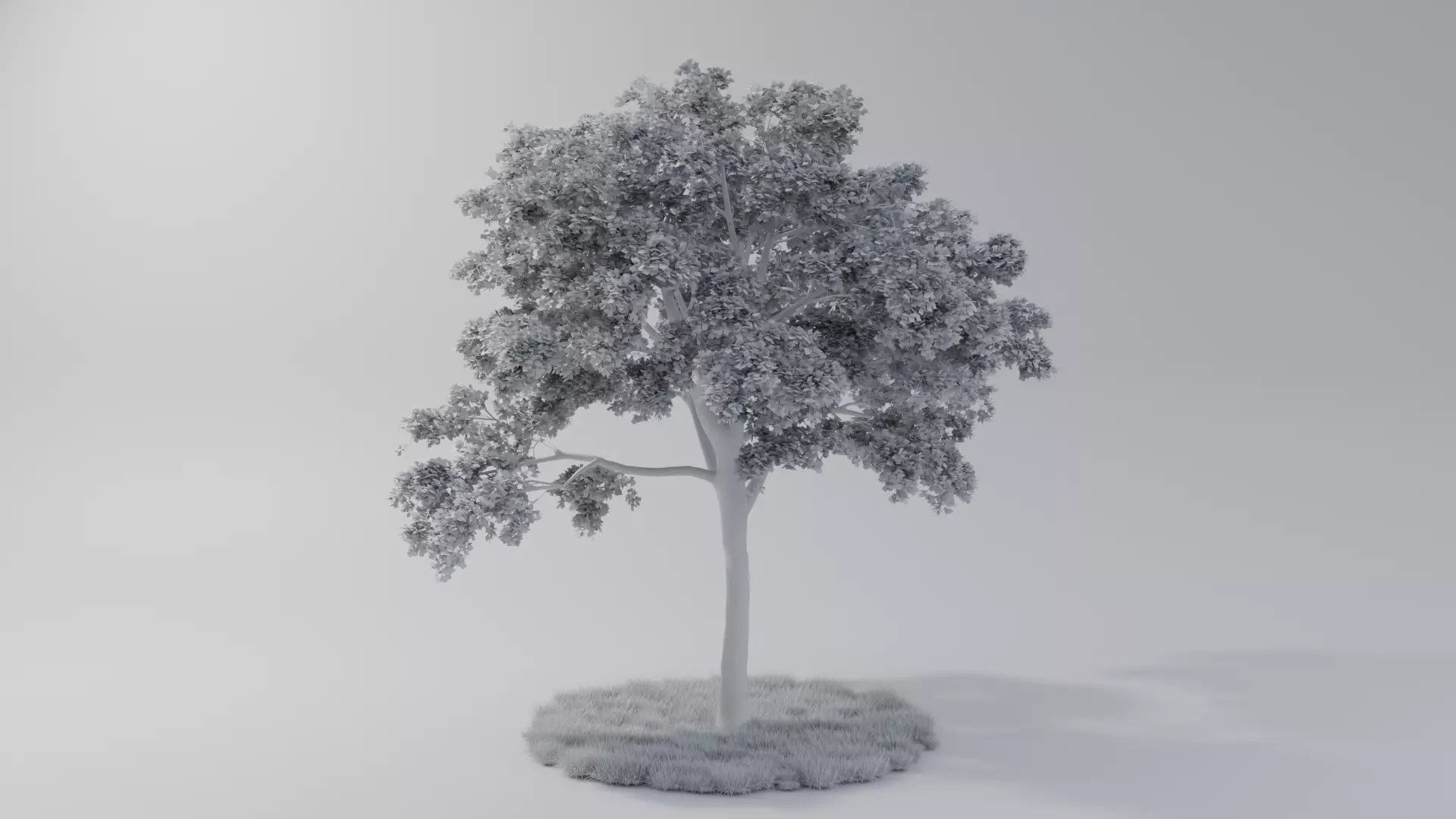 Realistic style of grass and trees 3D model_4