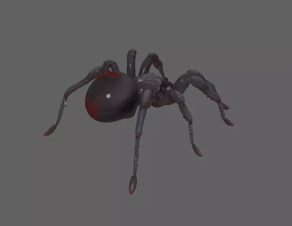 Spider 3D model_1