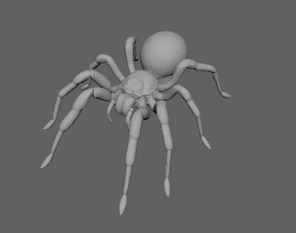 Spider 3D model_3