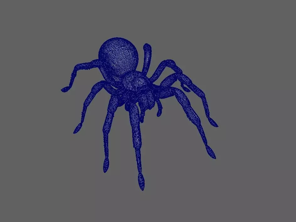 Spider 3D model_4