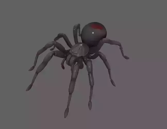 Spider