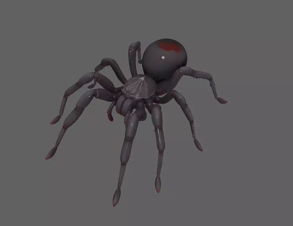 Spider 3D model_0
