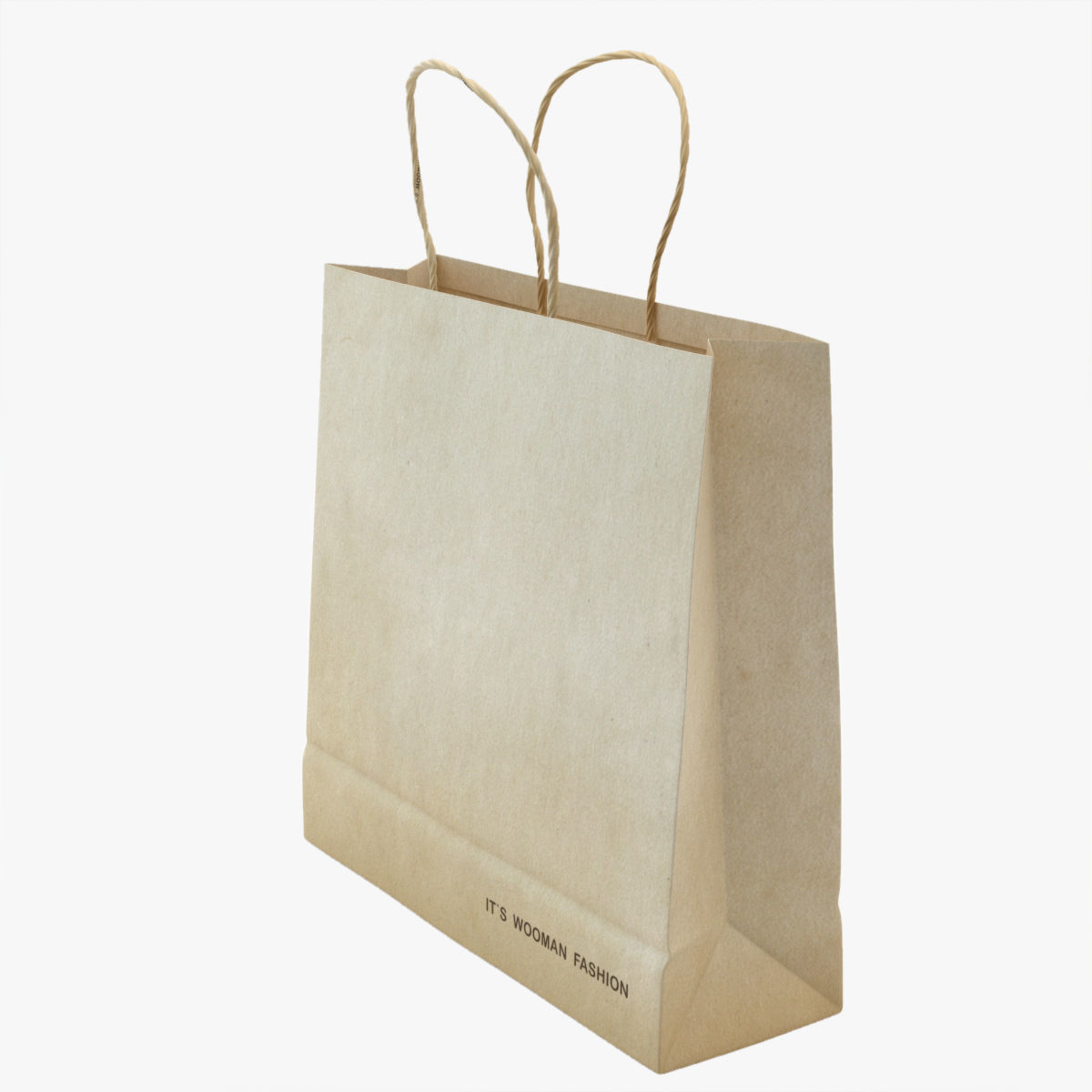 Shopping Bag 3D model_5
