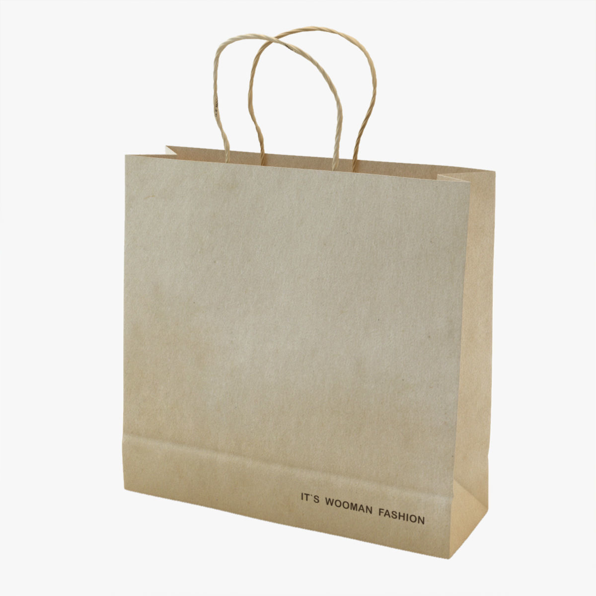 Shopping Bag 3D model_4