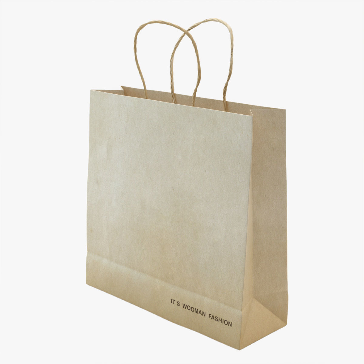 Shopping Bag 3D model_8