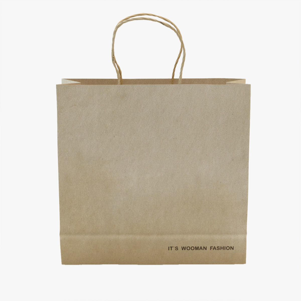 Shopping Bag 3D model_1