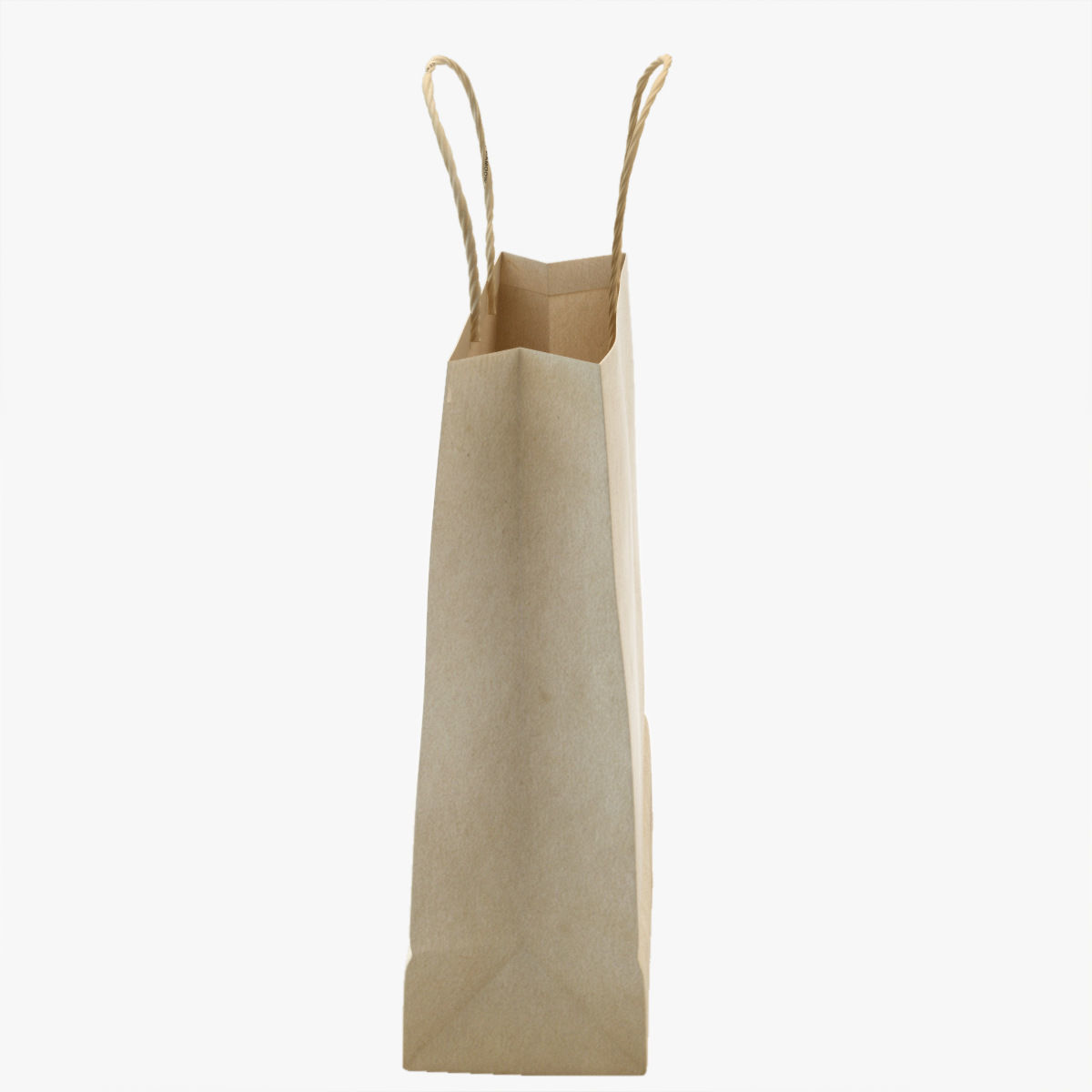Shopping Bag 3D model_2