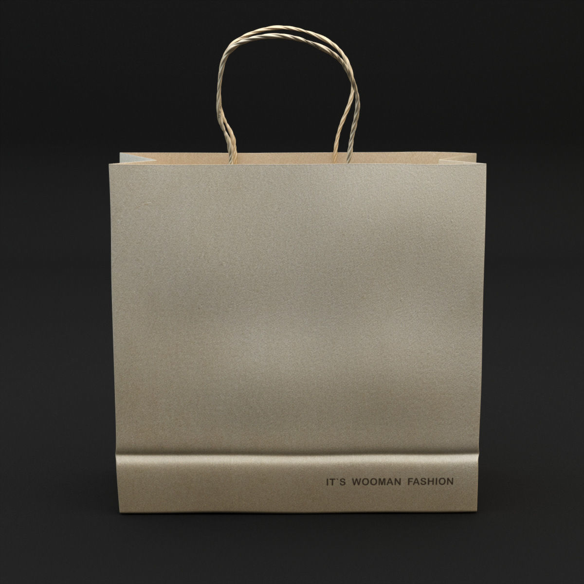 Shopping Bag 3D model_13