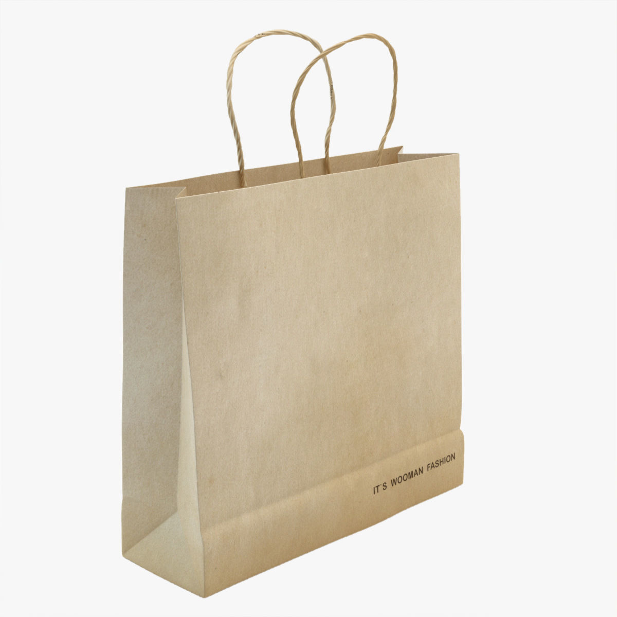 Shopping Bag 3D model_6