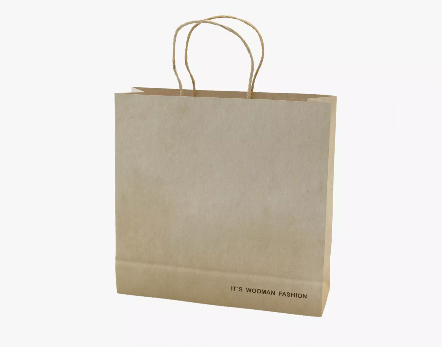 Shopping Bag 3D model_0