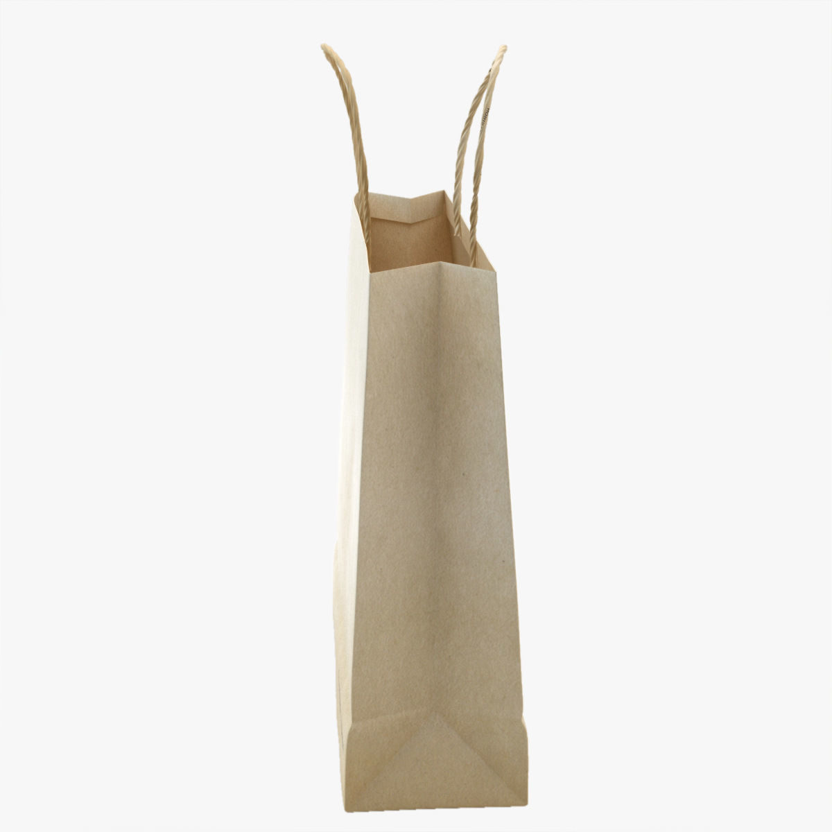 Shopping Bag 3D model_9